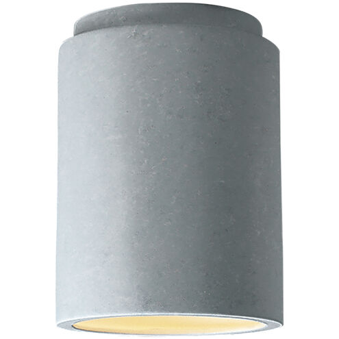 Radiance 1 Light 6.5 inch Concrete Flush Mount Ceiling Light in Incandescent