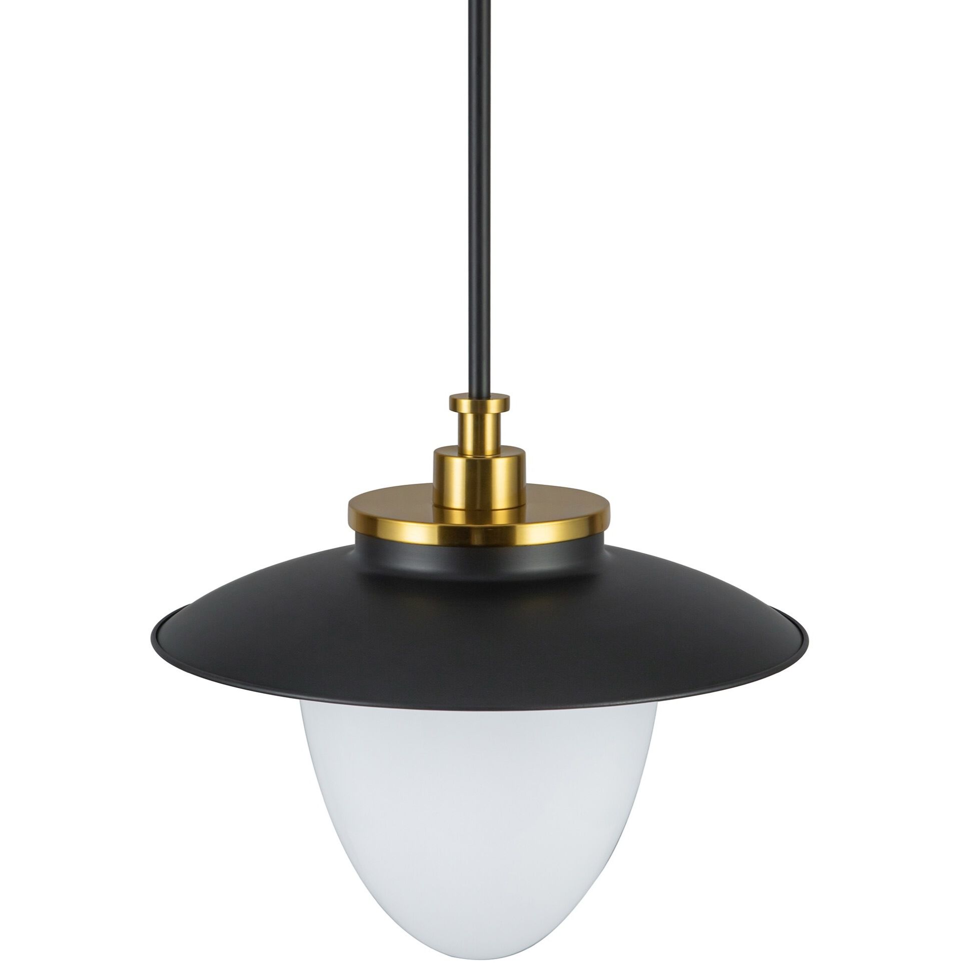 Dahlia 1 Light 15 inch Black and Brass Pendant Ceiling Light