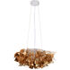 Canada LED 21 inch Shiny Gold Chandelier Ceiling Light