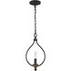Hartsville 1 Light 2.25 inch Dark Weathered Zinc / Weathered Oak Mini-Pendant Ceiling Light