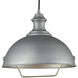 Farmhouse 1 Light 14 inch Aged Pewter Pendant Ceiling Light