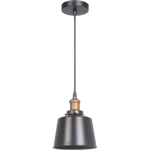 Bejamin 1 Light 7 inch Matte Black/Patina Aged Brass Mini Pendant Ceiling Light in Matte Black and Patina Aged Brass