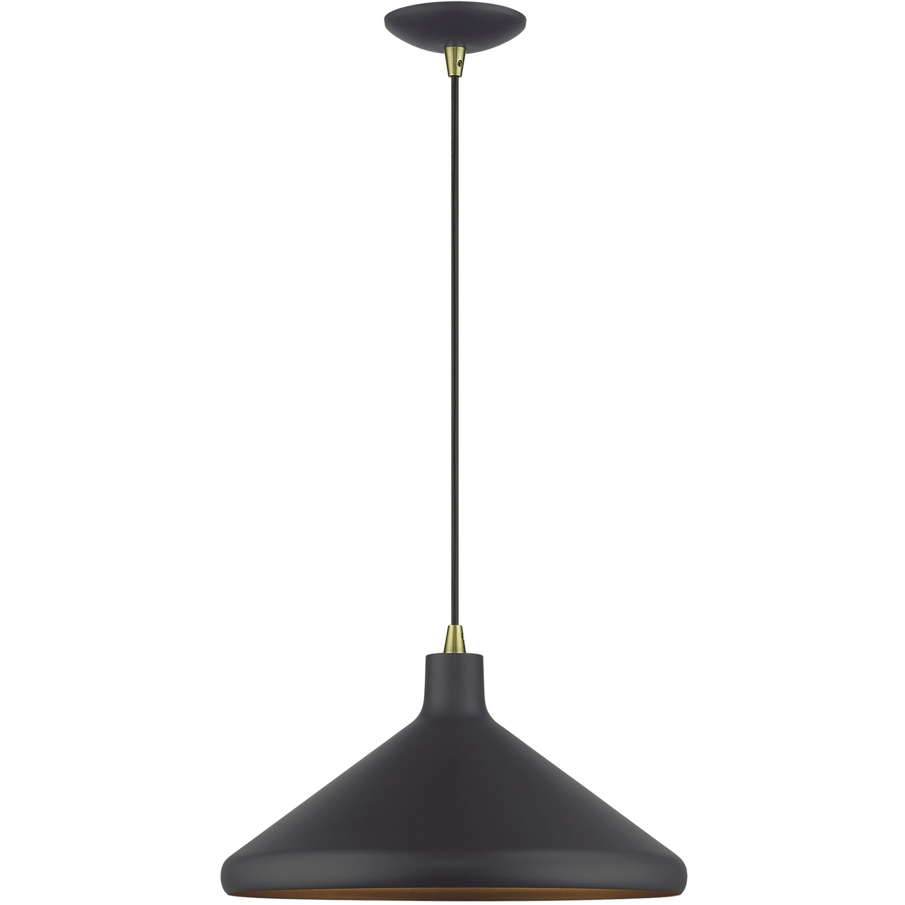 Geneva 1 Light 15.25 inch Bronze with Antique Brass Accents Pendant Ceiling Light
