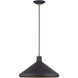 Geneva 1 Light 15.25 inch Bronze with Antique Brass Accents Pendant Ceiling Light