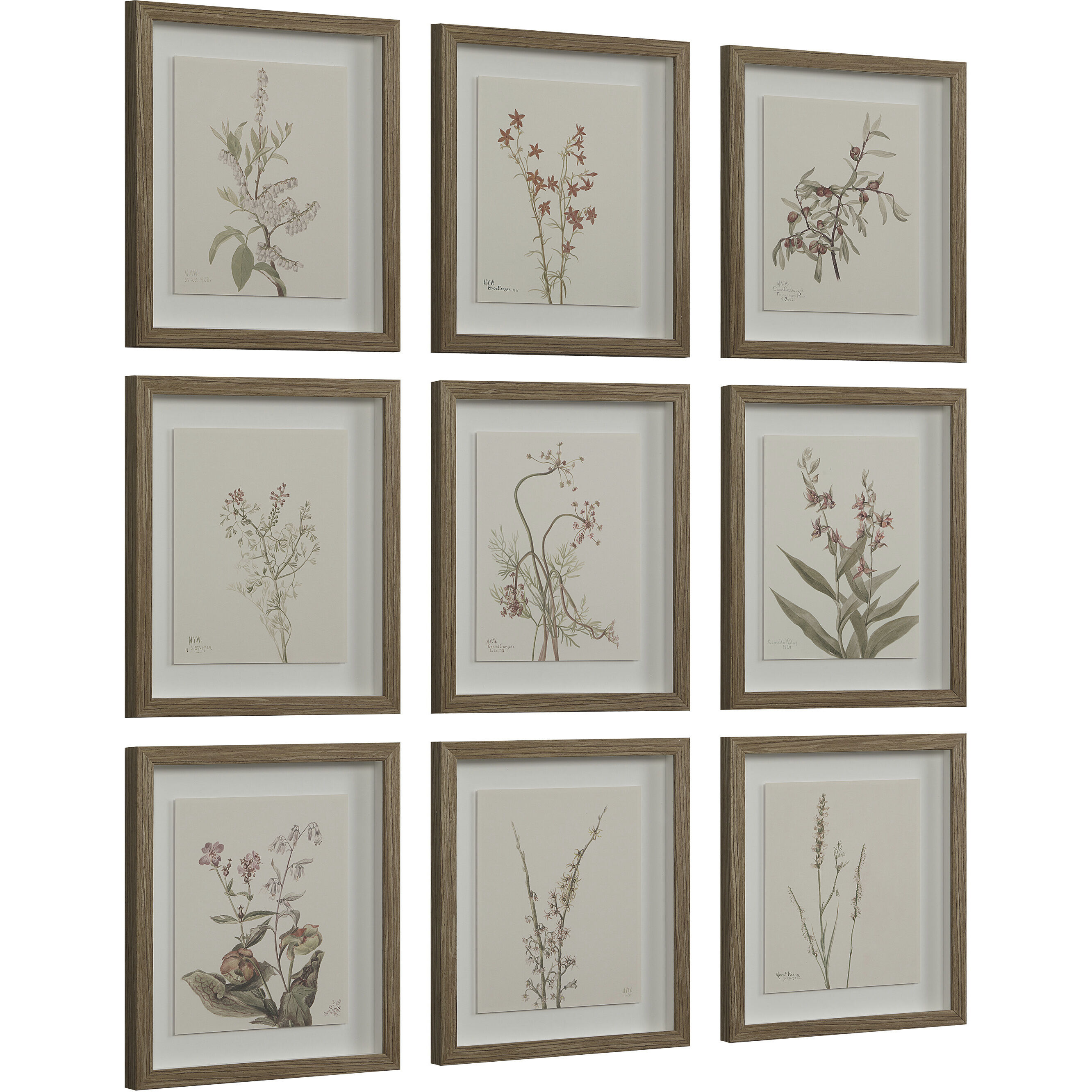 Crema 15 X 13.25 inch Printed Artworks, Set of 9