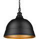 Rebel 2 Light 15.88 inch Matte Black Pendant Ceiling Light