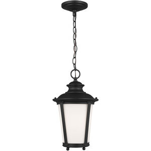 Cape May 1 Light 9 inch Black Outdoor Pendant