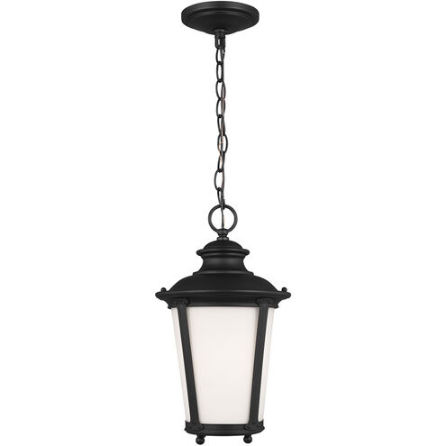 Cape May 1 Light 9 inch Black Outdoor Pendant