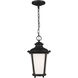Cape May 1 Light 9 inch Black Outdoor Pendant