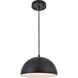 Forte 1 Light 12 inch Black Pendant Ceiling Light