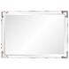 Elsie 39 X 27 inch Clear Acrylic with Stainless Steel Accents Wall Mirror