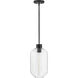 Greer LED 8.5 inch Black Pendant Ceiling Light