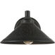 Kirkham 1 Light 7 inch Aspen Bronze Outdoor Wall Mount in Incandescent, Great Outdoors