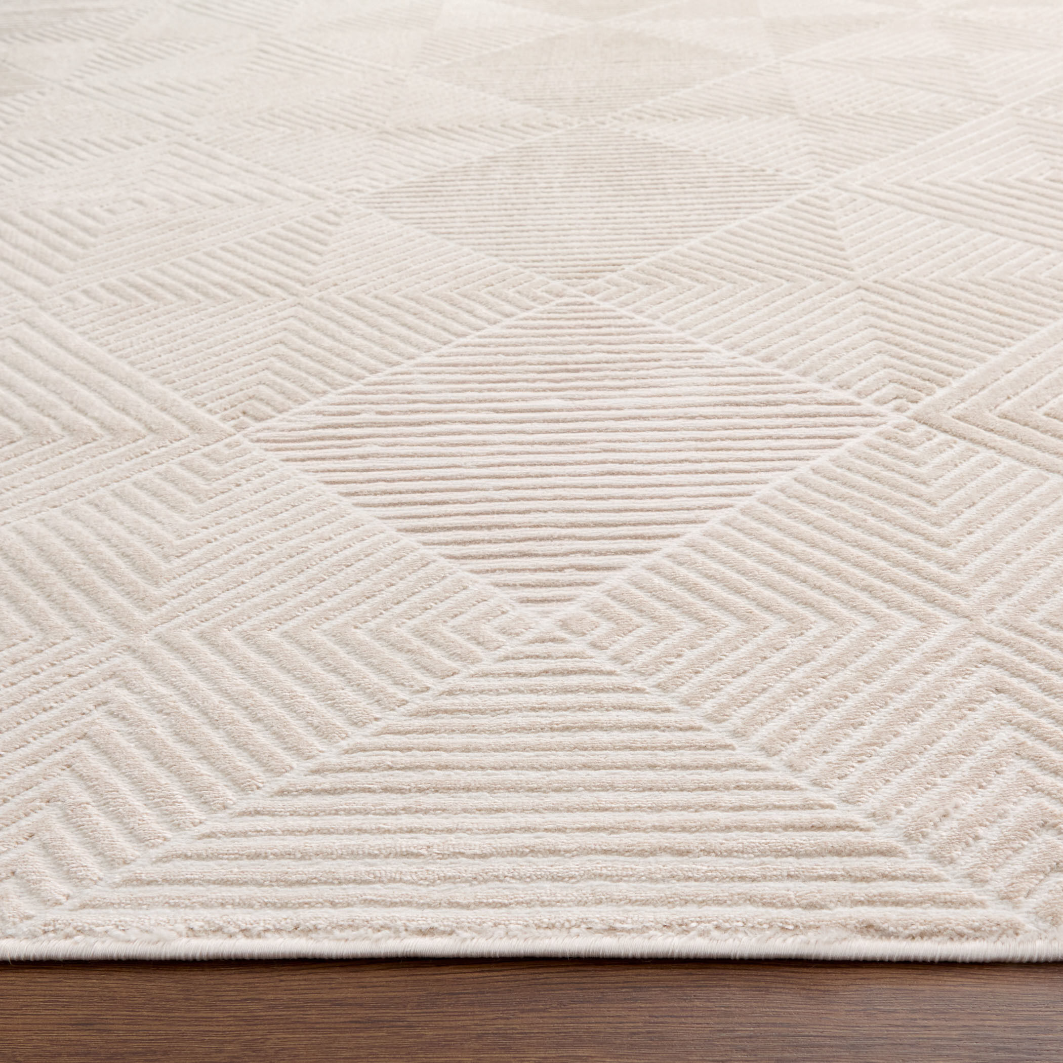 Timeless Luxe 36 X 24 inch Neutral Rug in 2 x 3