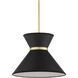 Avignon 1 Light 16.5 inch Black/Polished Brass Pendant Ceiling Light, Suzanne Duin Collection