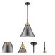 Franklin Restoration X-Large Cone 1 Light 12 inch Black Antique Brass Mini Pendant Ceiling Light in Light Smoke Glass