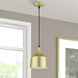 Bolita 8 inch Soft Gold with Black Accents Pendant Ceiling Light