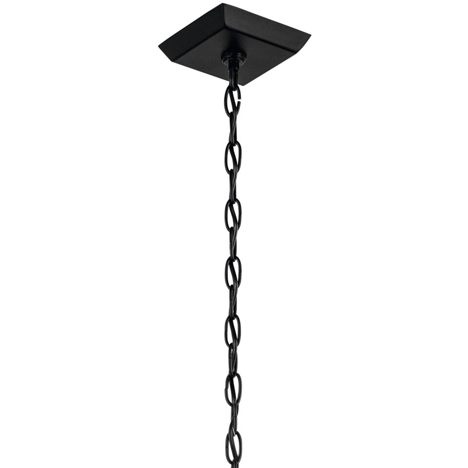Prin 1 Light 9 inch Black Outdoor Hanging Pendant
