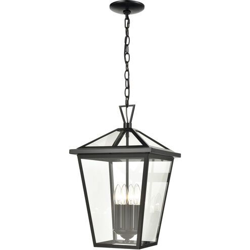 Main Street 12 inch 60.00 watt Black Outdoor Pendant