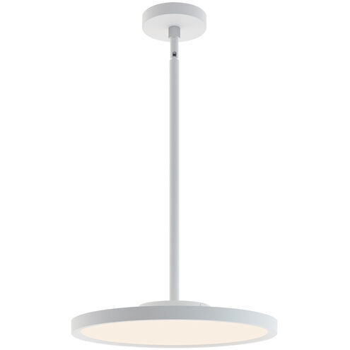 Edge 1 Light 15.68 inch Pendant