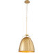 Jamie 1 Light 14.5 inch Aged Brass Pendant Ceiling Light