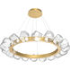 Gem LED Gilded Brass Chandelier Ceiling Light, Radial Ring