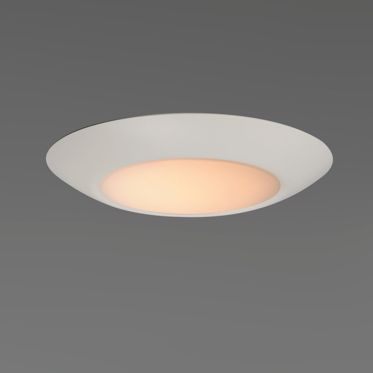 Diverse LED 8 inch White Flush Mount Ceiling Light