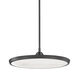 Draper LED 20.25 inch Old Bronze Pendant Ceiling Light