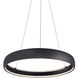 Halo Pendant Ceiling Light in Black