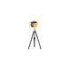 AV17 Series 66 inch 40 watt Gold Floor Lamp Portable Light