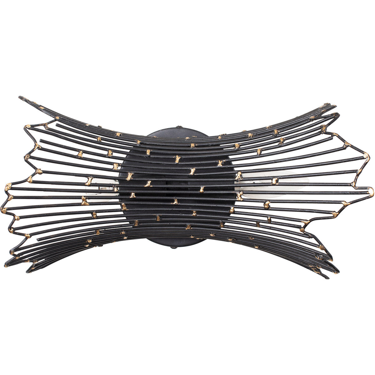 Rikki 2 Light 14 inch Carbon and Aged Gold Bath Vanity Light Wall Light