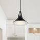 Zelda 1 Light 14 inch Black Pendant Ceiling Light