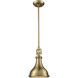 Rutherford 1 Light 9 inch Satin Brass Mini Pendant Ceiling Light