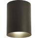 Cylinder 1 Light 5 inch Antique Bronze Outdoor Ceiling Mount Cylinder in Standard Lamping