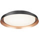 Vieno LED 16 inch Black Flush Mount Ceiling Light