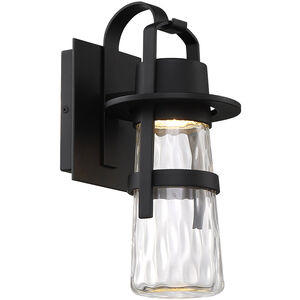 Balthus LED 14 inch Black Outdoor Wall Light in 14in.