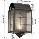 Durham 1 Light 16.88 inch Dark Brass Outdoor Sconce in Seedy Glass, Brass Traditions by Innovations Lighting