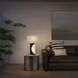 Half Moon 30 inch 100 watt Charcoal Gray and Brushed Nickel Table Lamp Portable Light