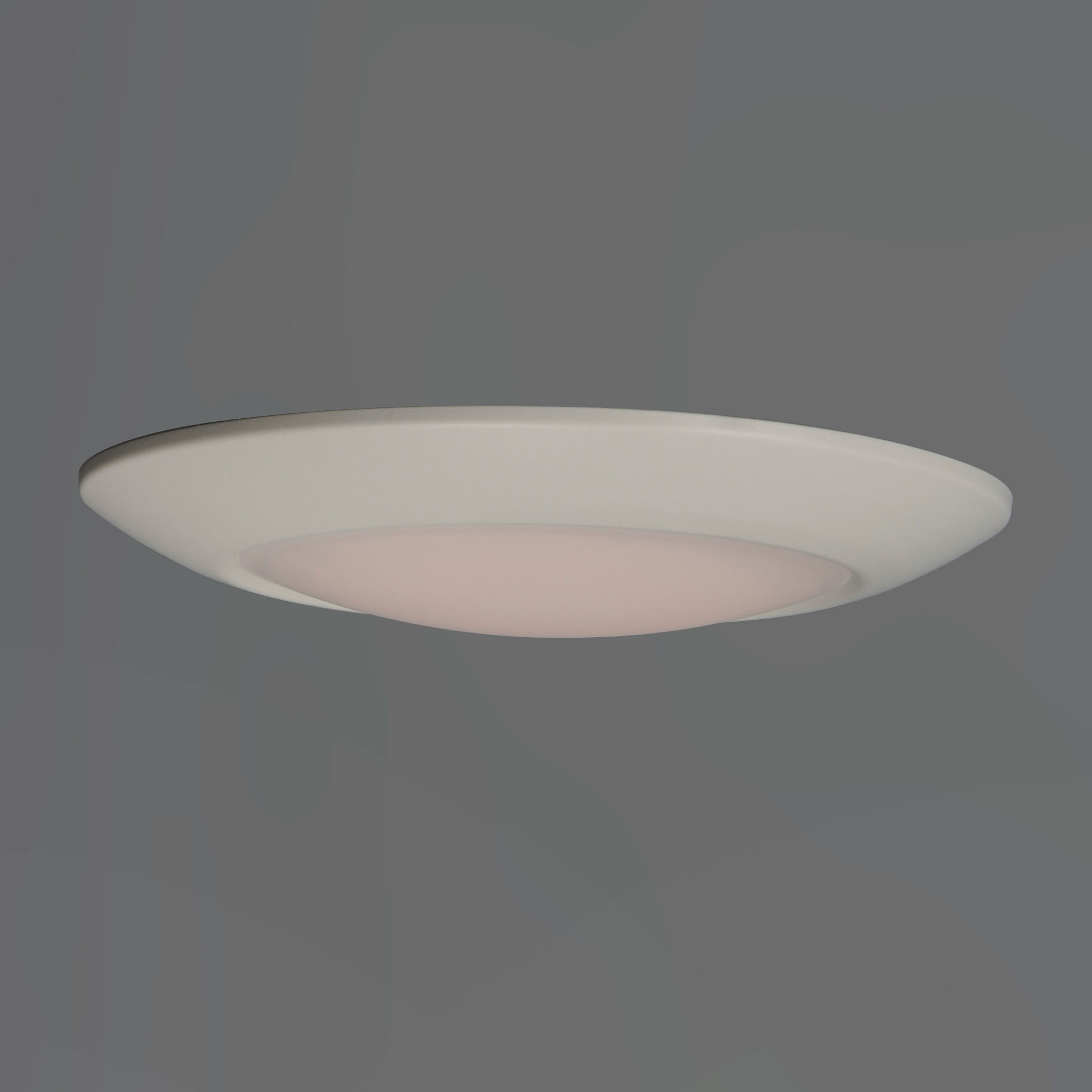 Diverse LED LED 11 inch White Flush Mount Ceiling Light