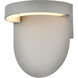 Raine Outdoor Wall Light in Silver