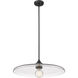 Paloma 1 Light 24 inch Matte Black Pendant Ceiling Light