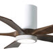 Atlas Irene-5HLK 42 inch Gloss White with Walnut Tone Blades Ceiling Mount Paddle Fan, Flush Mounted
