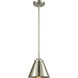 Nouveau Appalachian 1 Light 8 inch Brushed Satin Nickel Mini Pendant Ceiling Light in Incandescent, Nouveau