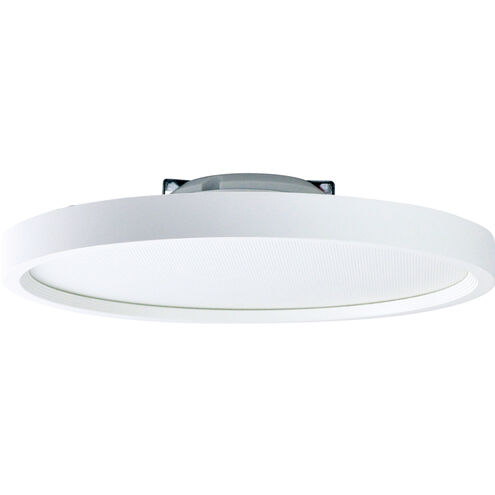 SURF 1 Light White Surface Ceiling Light