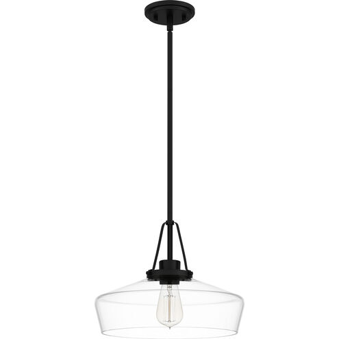 Haven 1 Light 14 inch Matte Black Pendant Ceiling Light