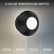 Mantel Reading Light Wall Light in Black, dweLED