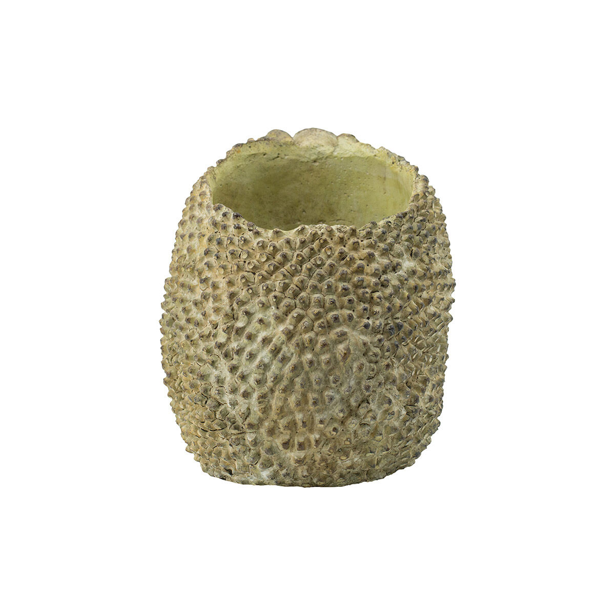 Jackfruit Light Green Outdoor Planter