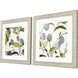 Olive Branches Green and Blue and Gray Framed Art, Propac