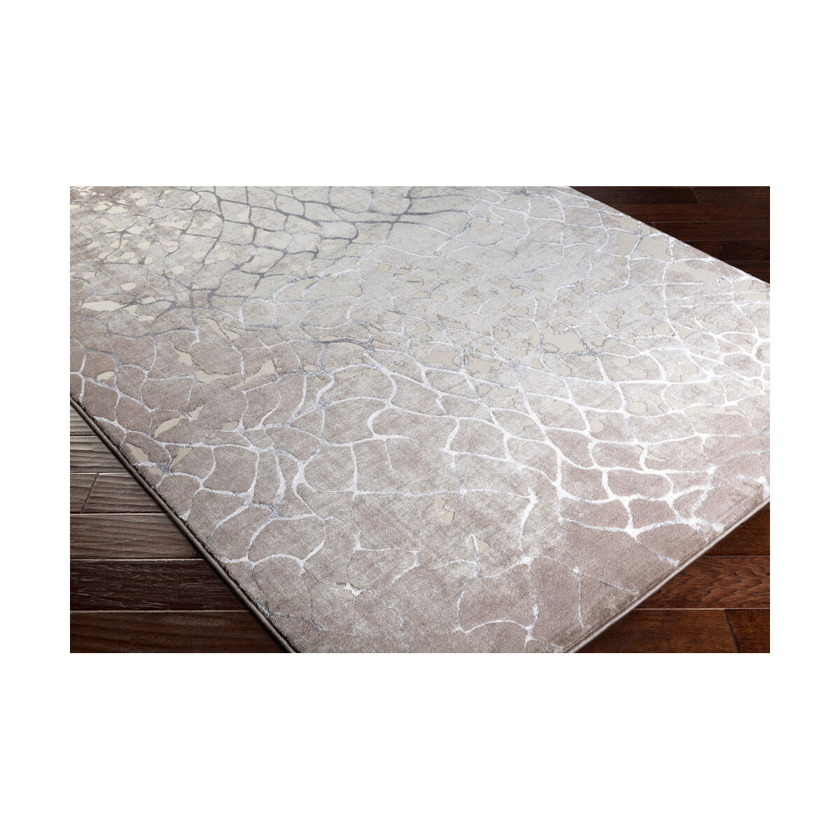 Neptune 91 X 63 inch Taupe/Camel/Medium Gray/Ivory Rugs, Polypropylene and Polyester