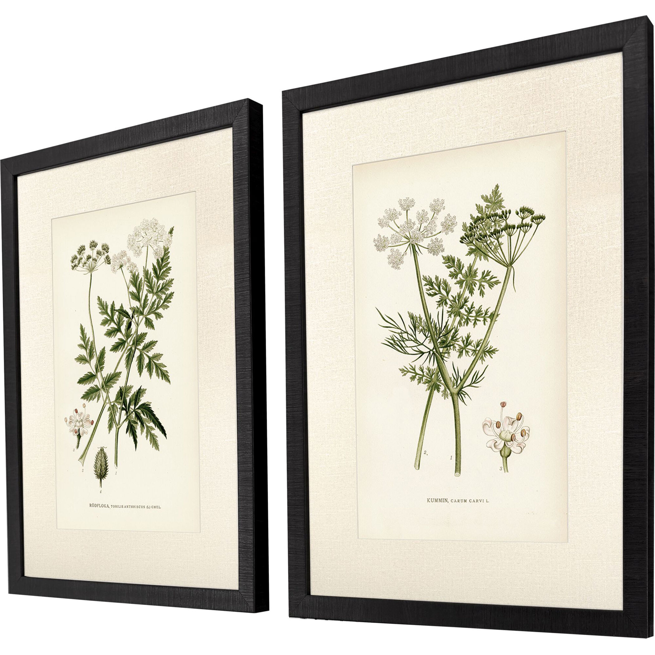 Queen's Lace Green and Neutral Framed Art, Propac